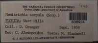 Image Associated With the Occurence